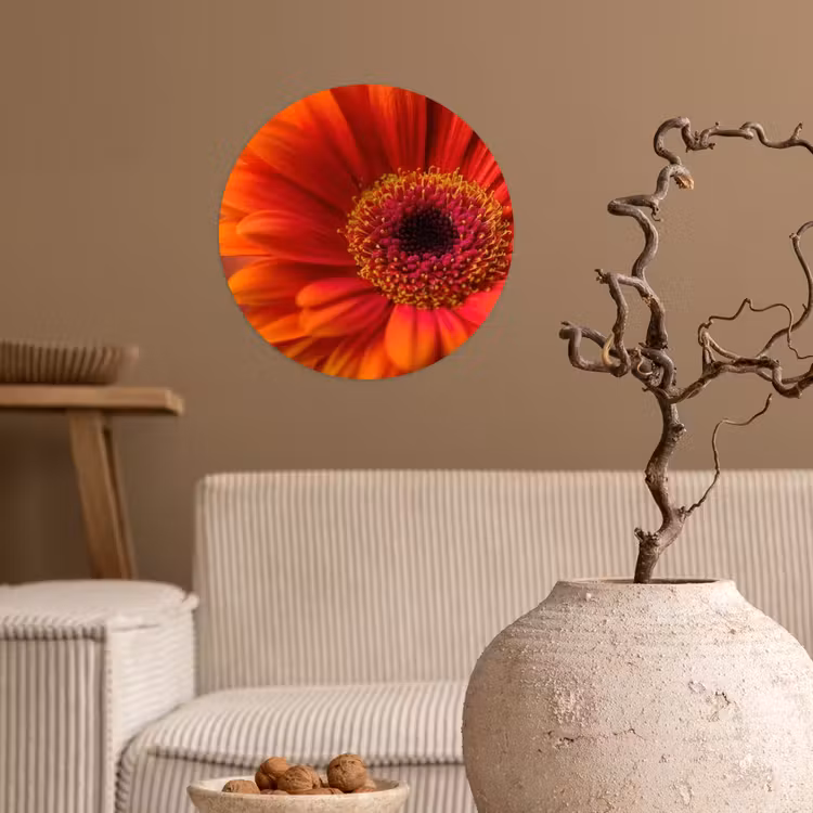 Oranje - Gerbera - Intens Wandcirkel behangsticker klein -sfeer1