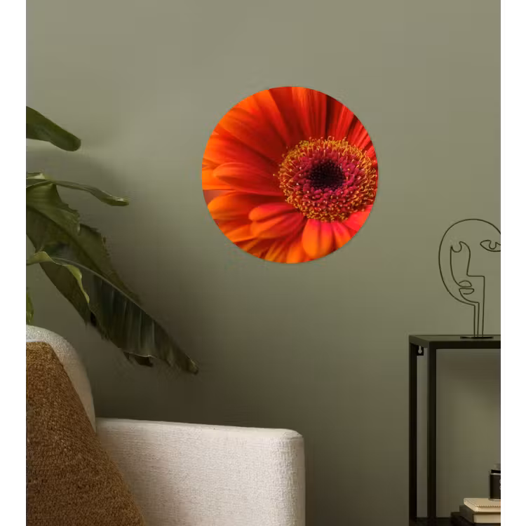 Oranje - Gerbera - Intens Wandcirkel behangsticker klein -sfeer2