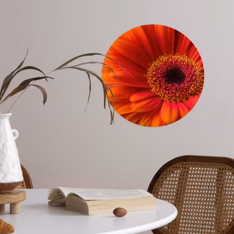 Oranje - Gerbera - Intens Wandcirkel behangsticker klein -sfeer3