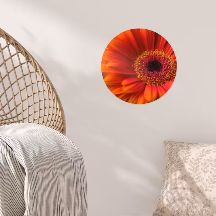 Oranje - Gerbera - Intens Wandcirkel behangsticker klein -sfeer4