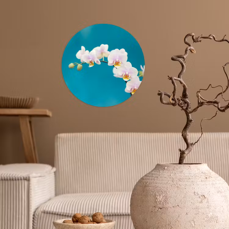 Orchidee - Bloemen - Plant - Wit - Paars Wandcirkel behangsticker klein -sfeer1