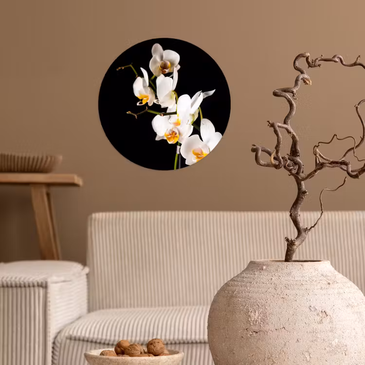 Orchidee - Bloemen - Planten - Botanisch Wandcirkel behangsticker klein -sfeer1