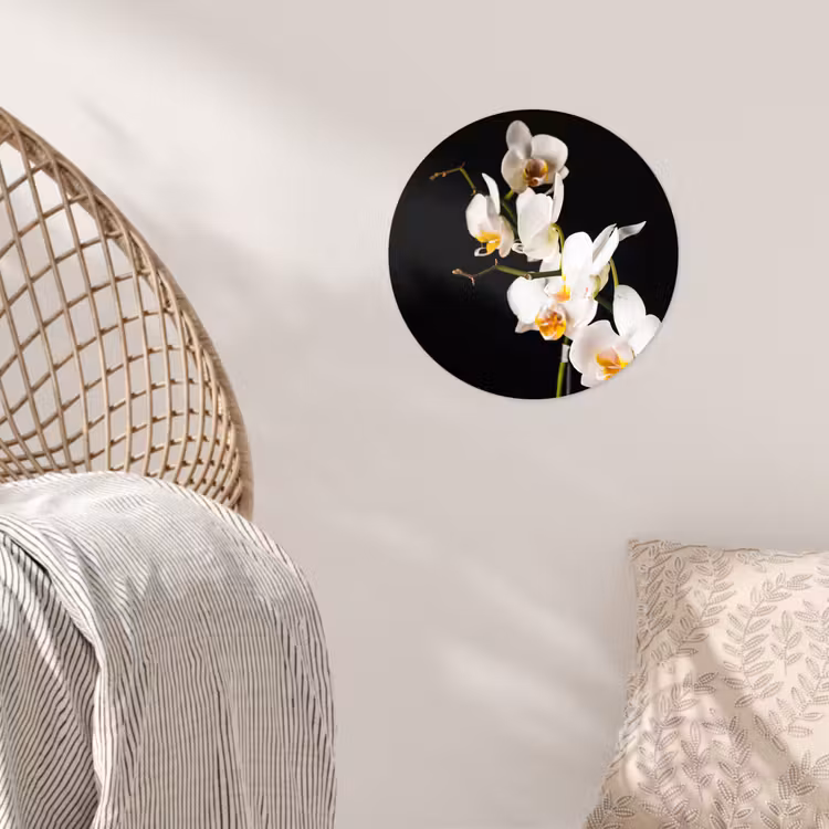 Orchidee - Bloemen - Planten - Botanisch Wandcirkel behangsticker klein -sfeer4