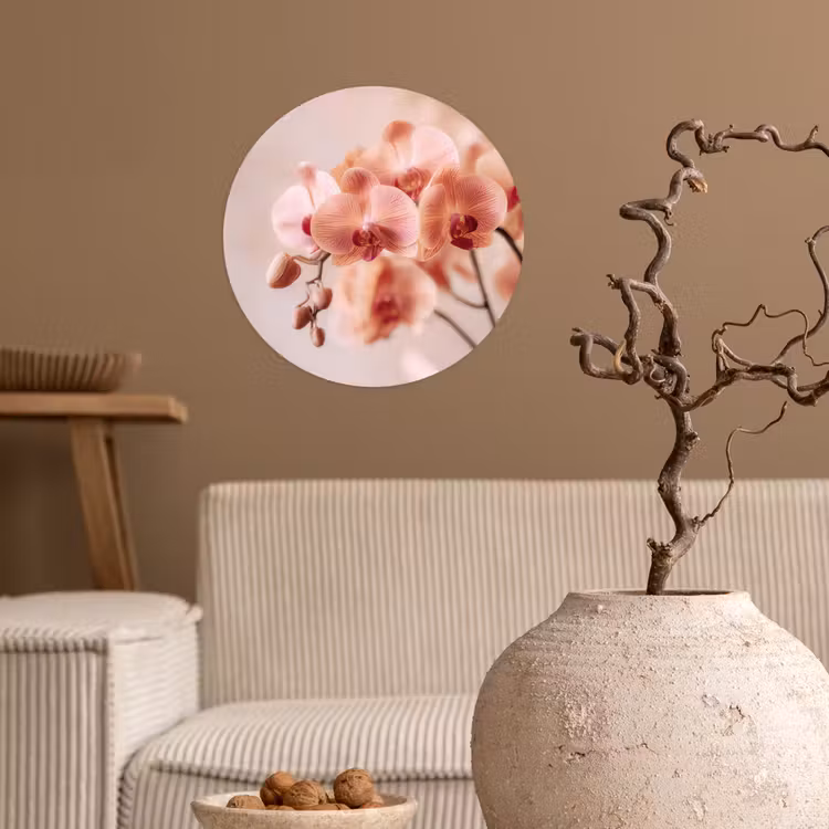 Orchidee - Bloemen - Roze - Bloemblaadjes Wandcirkel behangsticker klein -sfeer1