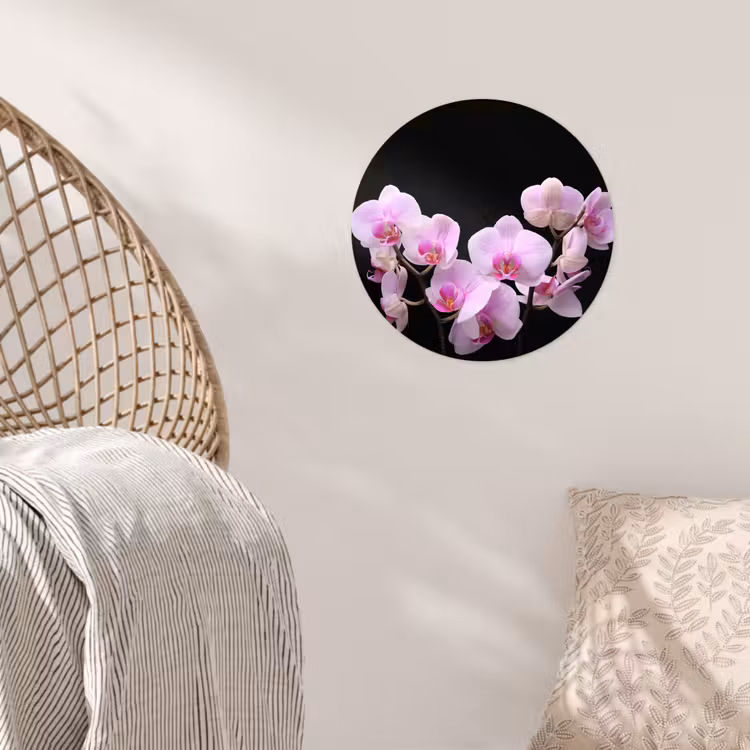 Orchidee - Bloemen - Roze - Flora Wandcirkel behangsticker klein -sfeer4