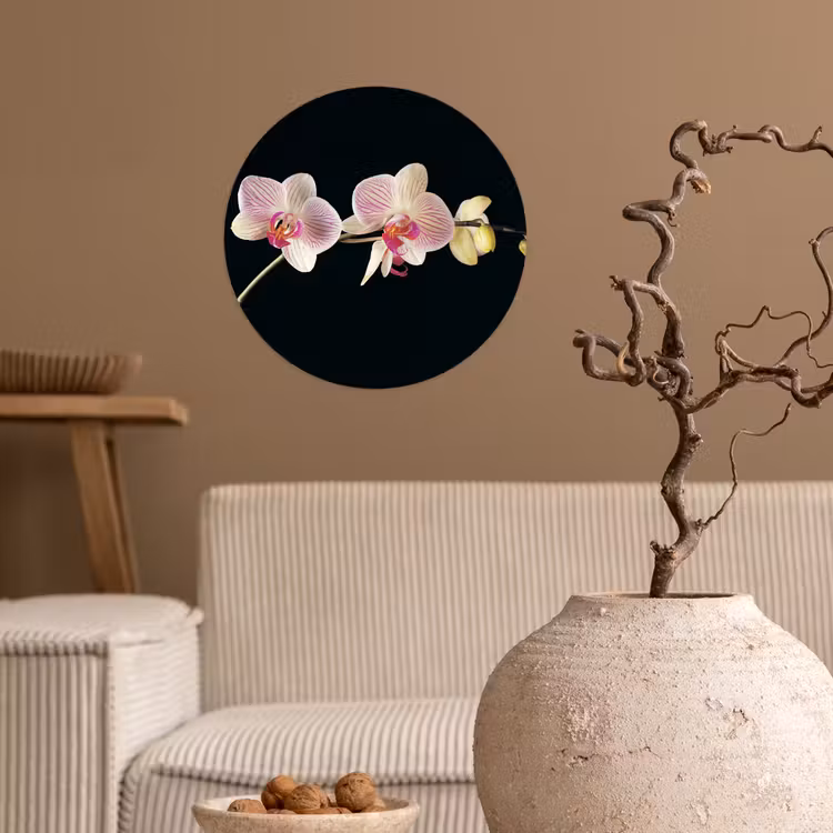 Orchidee - Bloemen - Zwart - Roze - Knoppen Wandcirkel behangsticker klein -sfeer1