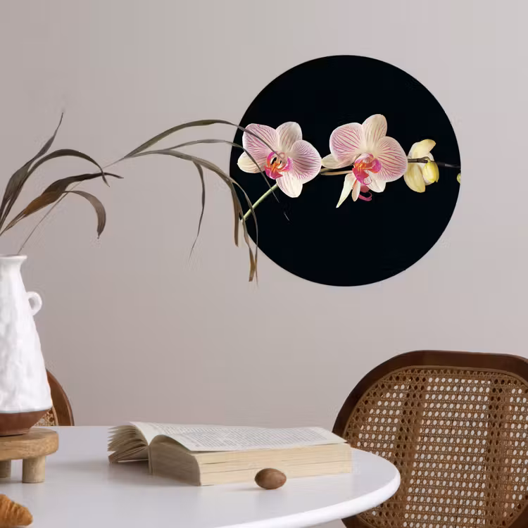 Orchidee - Bloemen - Zwart - Roze - Knoppen Wandcirkel behangsticker klein -sfeer3