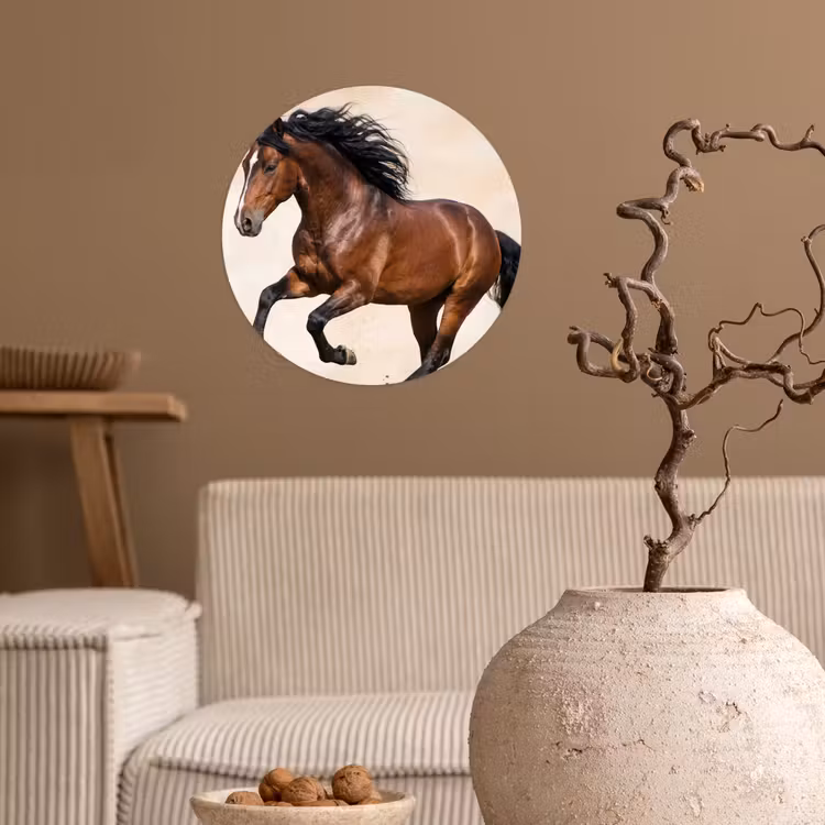 Paard - Galop - Energie Wandcirkel behangsticker klein -sfeer1