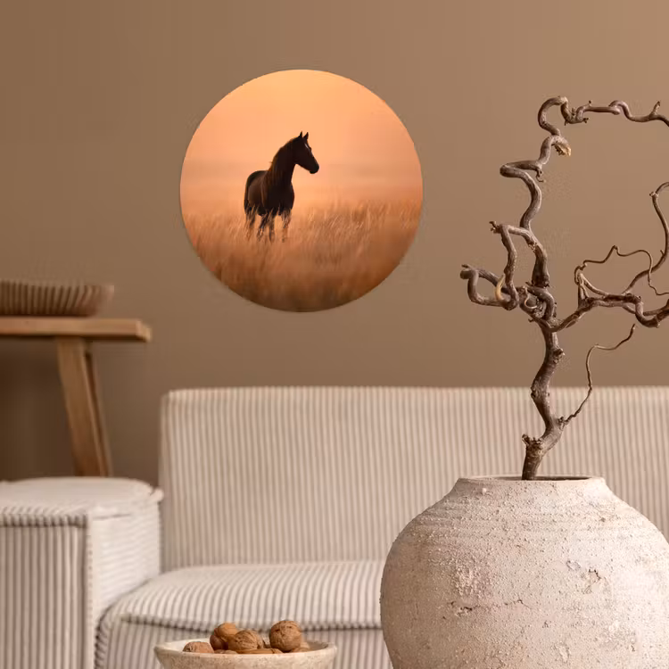 Paard - Grasveld - Zonsondergang Wandcirkel behangsticker klein -sfeer1
