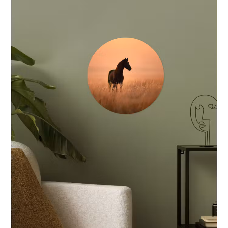 Paard - Grasveld - Zonsondergang Wandcirkel behangsticker klein -sfeer2