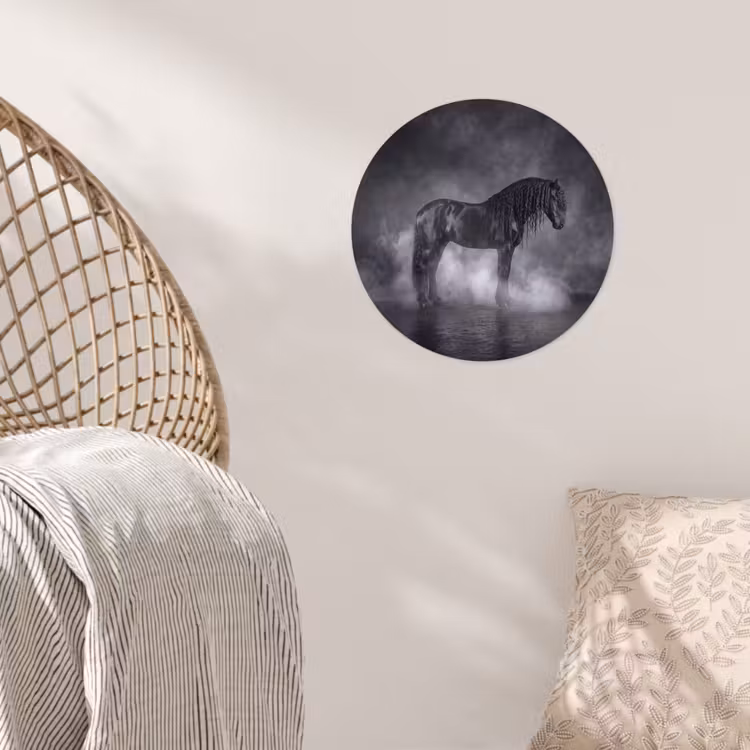 Paard - Magisch - Zwart Wandcirkel behangsticker klein -sfeer4