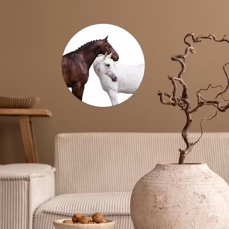 Paard - Modern - Balans Wandcirkel behangsticker klein -sfeer1