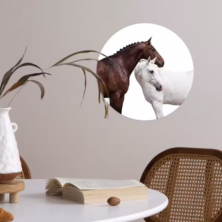 Paard - Modern - Balans Wandcirkel behangsticker klein -sfeer3