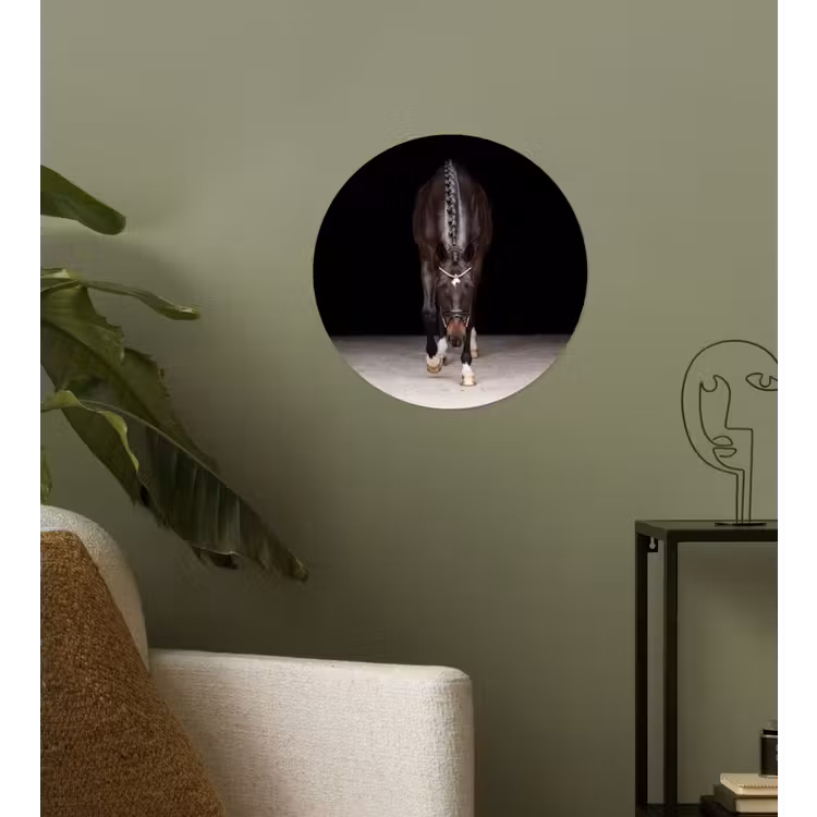 Paard - Modern - Portret Wandcirkel behangsticker klein -sfeer2