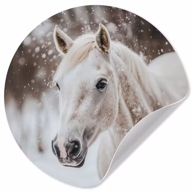 Paard - Wit - Winter - Natuur - Sneeuw - Dieren Wandcirkel behangsticker klein -3d