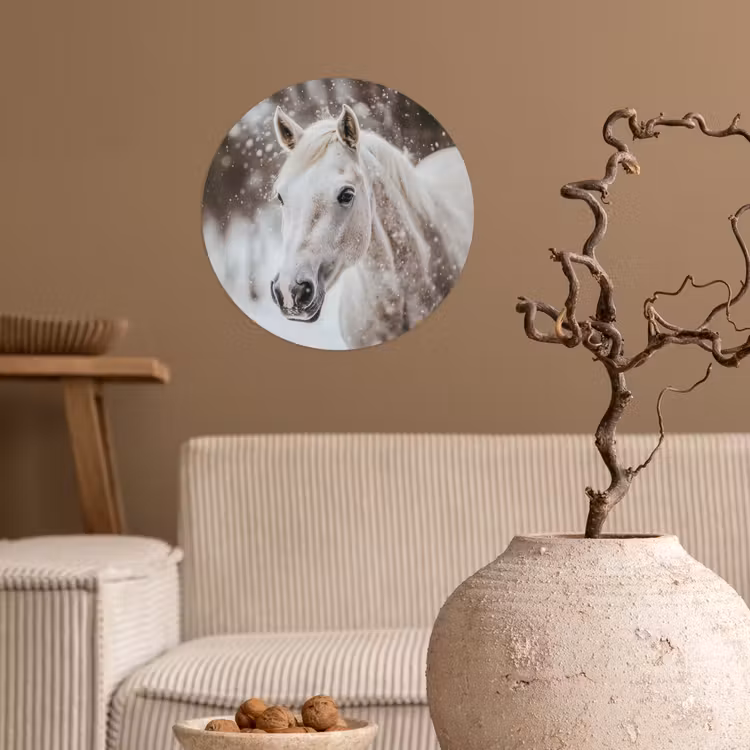 Paard - Wit - Winter - Natuur - Sneeuw - Dieren Wandcirkel behangsticker klein -sfeer1