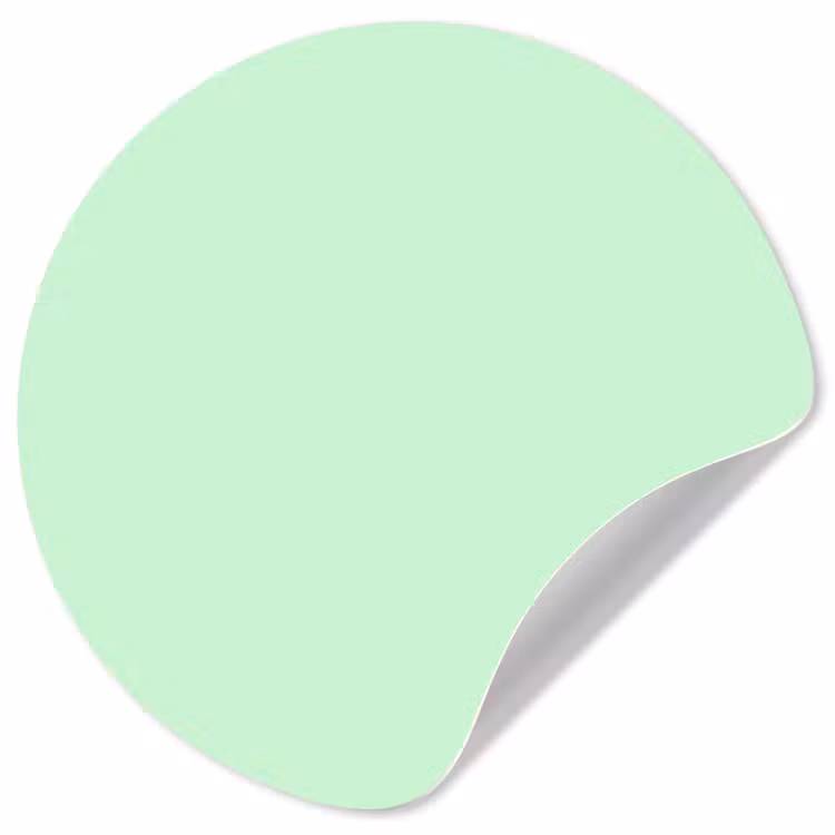 Pale - Mint - Groen Wandcirkel behangsticker klein 186 -3d