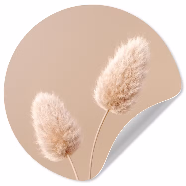 Pampas pluimen - Beige - Planten Wandcirkel behangsticker klein -3d