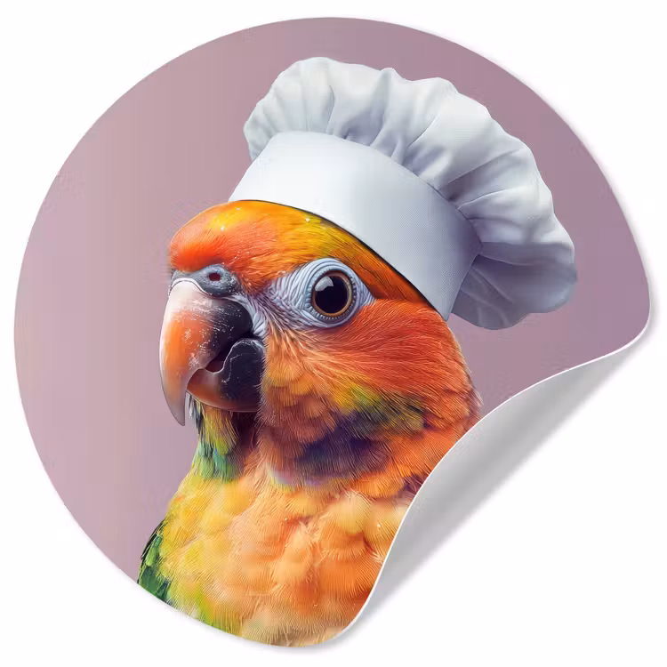 Papegaai - Koksmuts - Nieuwsgierig - Vogel Wandcirkel behangsticker klein -3d