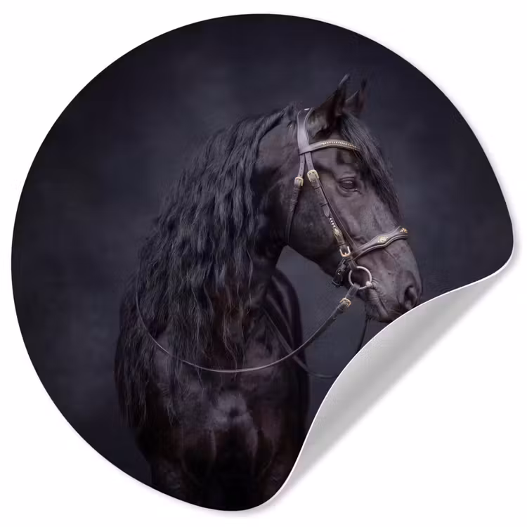 Portret - Paard - Donker Wandcirkel behangsticker klein -3d
