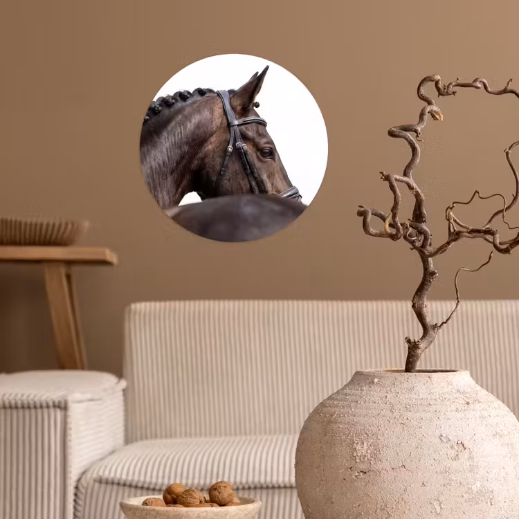 Portret - Paard - Elegant Wandcirkel behangsticker klein -sfeer1