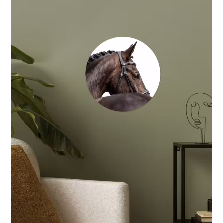 Portret - Paard - Elegant Wandcirkel behangsticker klein -sfeer2