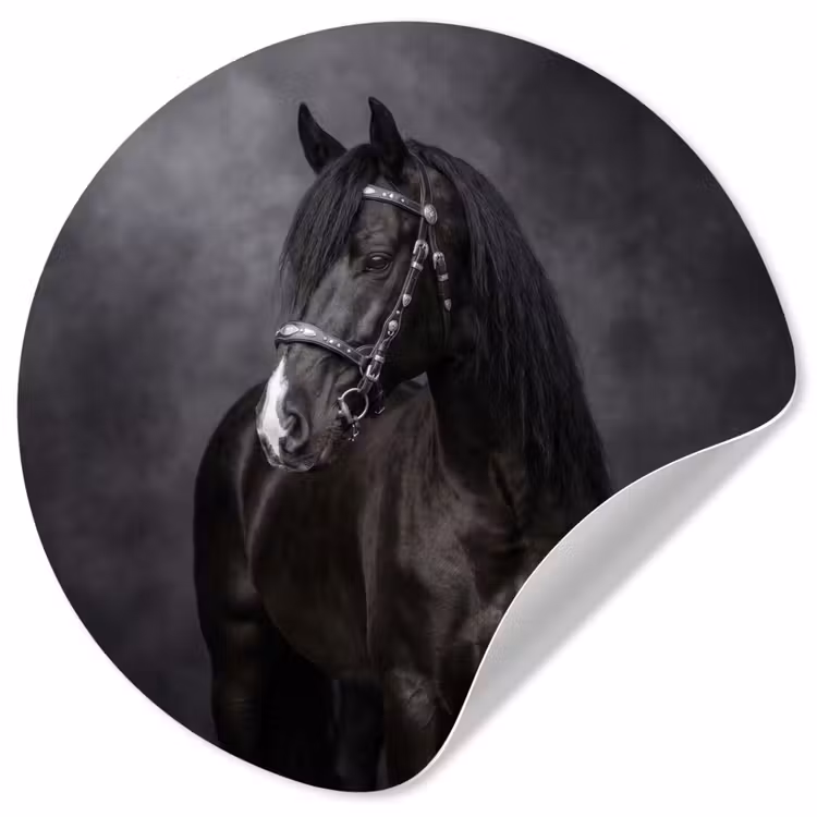 Portret - Paard - Zwart Wandcirkel behangsticker klein -3d
