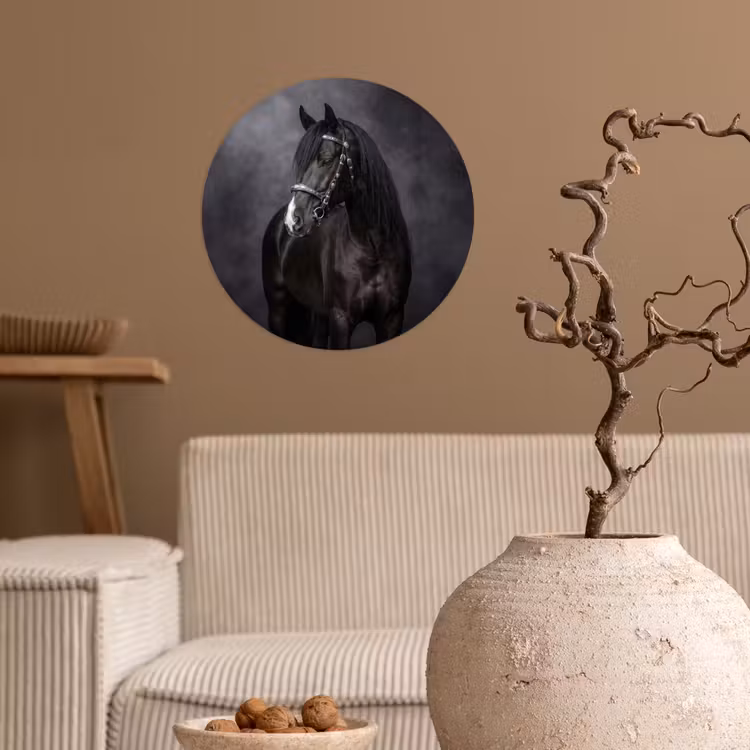Portret - Paard - Zwart Wandcirkel behangsticker klein -sfeer1