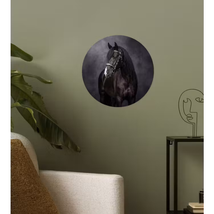 Portret - Paard - Zwart Wandcirkel behangsticker klein -sfeer2