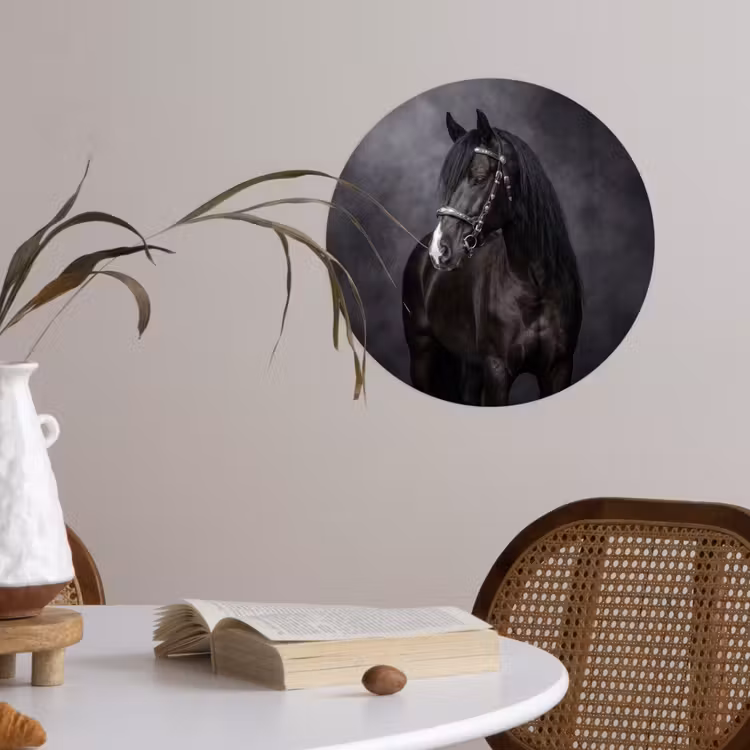 Portret - Paard - Zwart Wandcirkel behangsticker klein -sfeer3