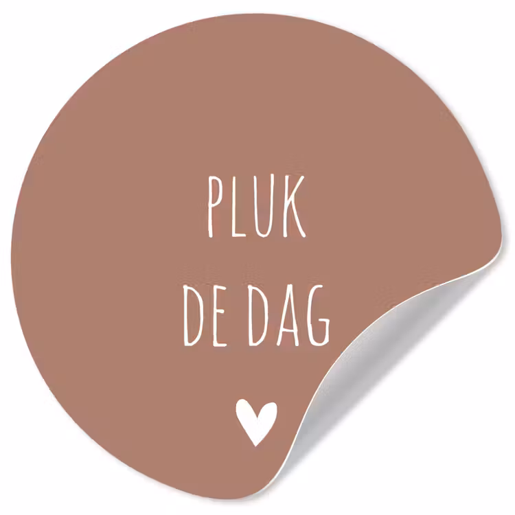 Quotes - Carpe diem - Pluk de dag - Spreuken Wandcirkel behangsticker klein -3d