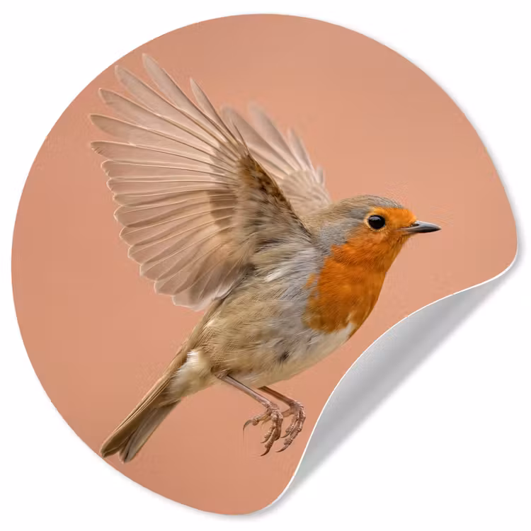 Roodborst - Natuur - Roze Wandcirkel behangsticker klein -3d