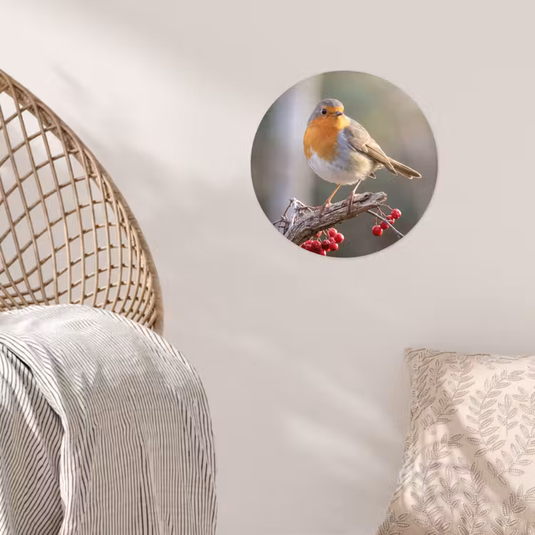 Roodborst - Tak - Bessen - Natuur Wandcirkel behangsticker klein -sfeer4
