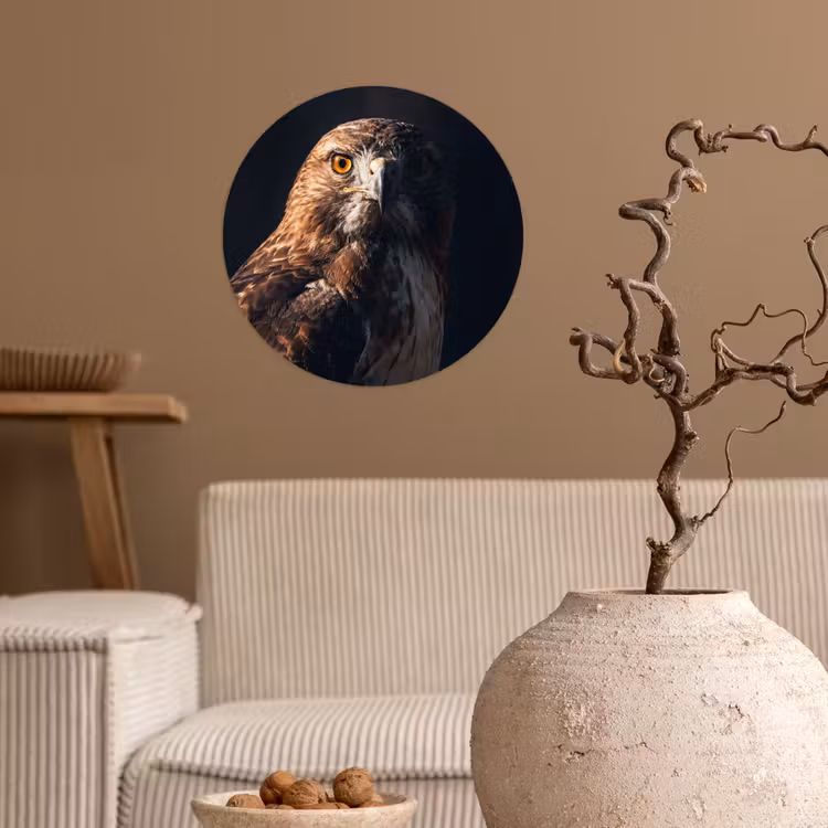 Roofvogel - Buizerd - Bruin Wandcirkel behangsticker klein -sfeer1