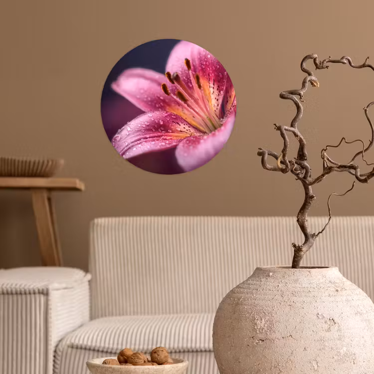 Roze - lelie - Dauwdruppels Wandcirkel behangsticker klein -sfeer1