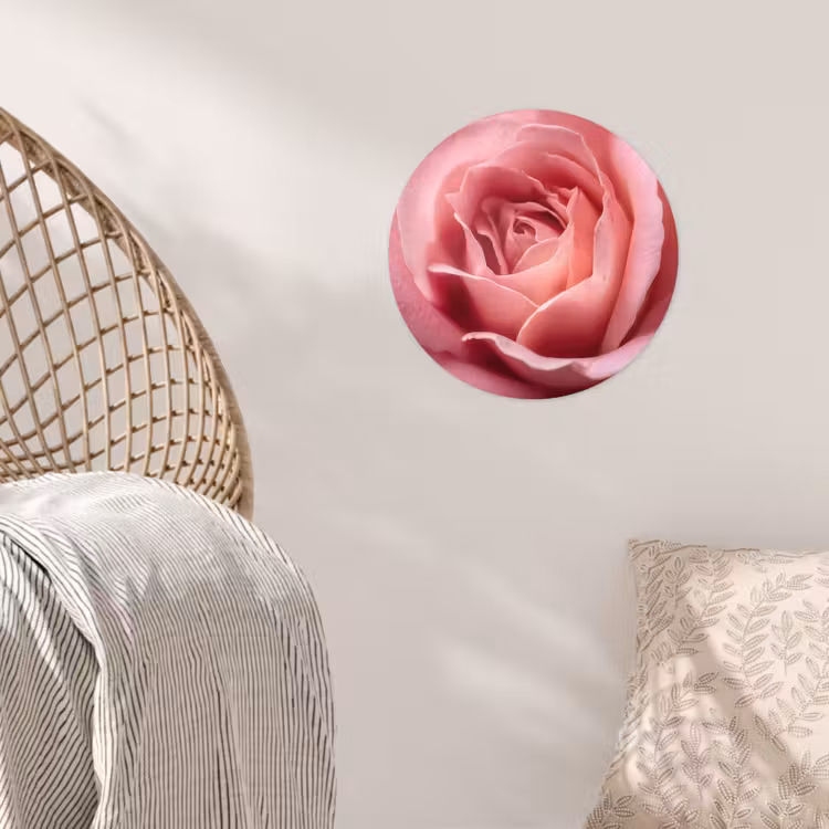 Roze - Roos - Romantisch Wandcirkel behangsticker klein -sfeer4