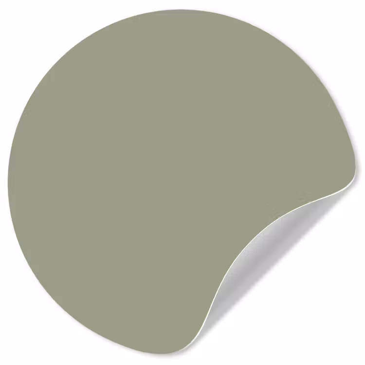 Sage - Mist - Groen Wandcirkel behangsticker klein 186 -3d