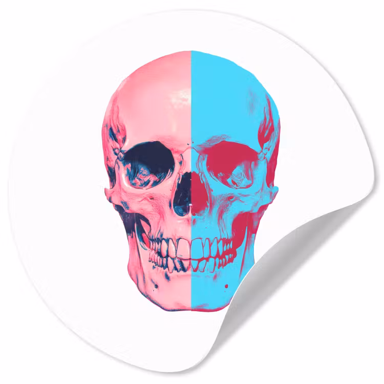 Schedel - Grafisch - Roze - Verdeeld Wandcirkel behangsticker klein -3d