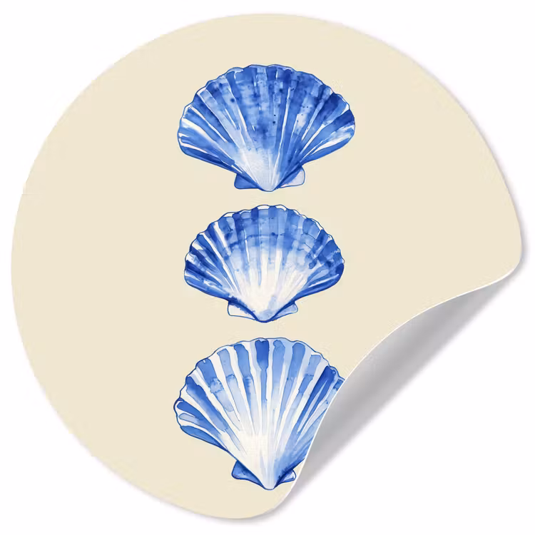 Schelpen - Blauw - Beige Wandcirkel behangsticker klein -3d