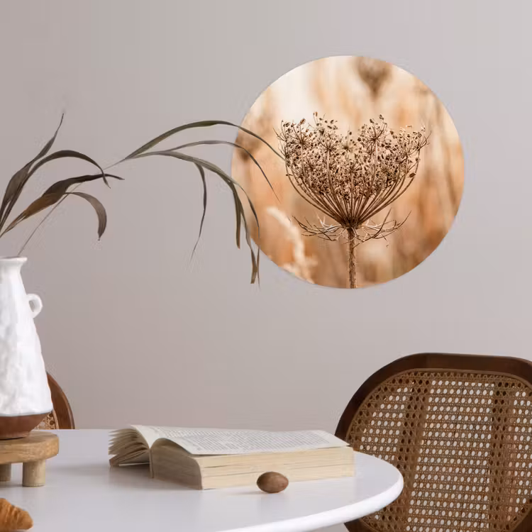 Schermbloem - Droogbloem - Winter - Beige - Minimalistisch Wandcirkel behangsticker klein -sfeer3