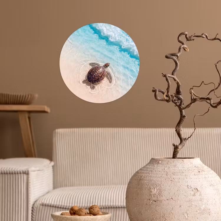 Schildpad - Helder water - Strand - Dieren - Natuur Wandcirkel behangsticker klein -sfeer1