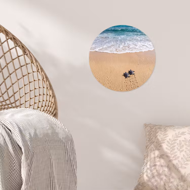 Schildpad - Jong - Strand - Oceaan - Blauw Wandcirkel behangsticker klein -sfeer4