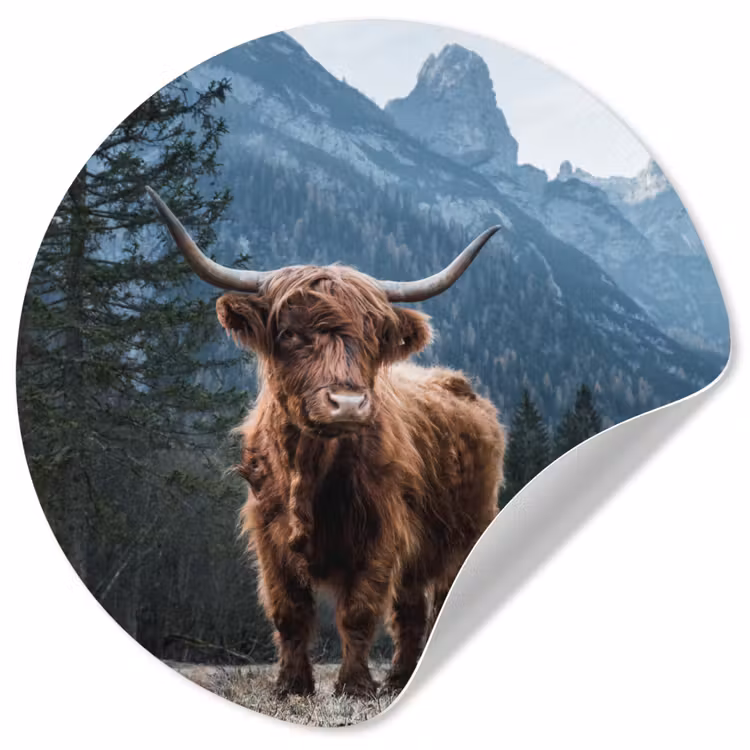 Schotse hooglander - Berg - Landschap - Bomen - Koe - Natuur Wandcirkel behangsticker klein -3d