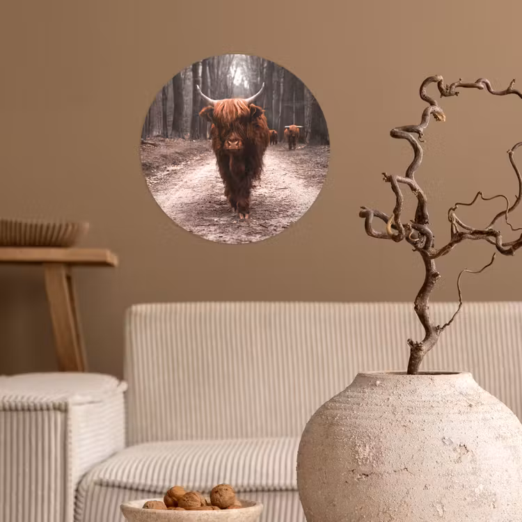 Schotse hooglander - Bos - Koe - Dieren - Natuur Wandcirkel behangsticker klein -sfeer1