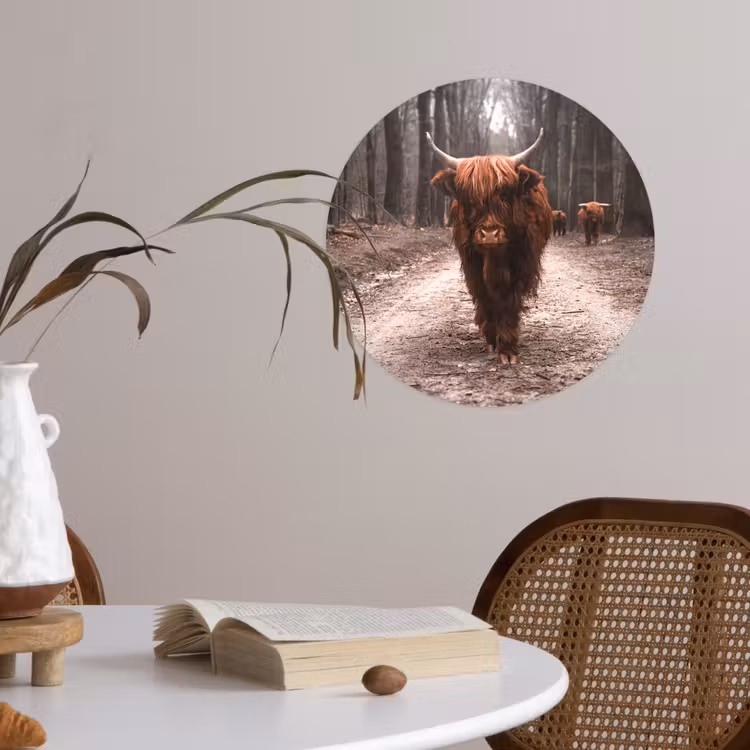 Schotse hooglander - Bos - Koe - Dieren - Natuur Wandcirkel behangsticker klein -sfeer3