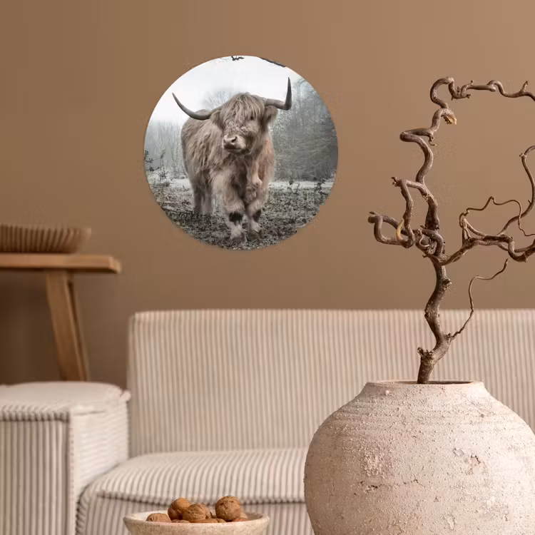Schotse Hooglander - Bos - Mist - Koe - Dieren - Natuur Wandcirkel behangsticker klein -sfeer1