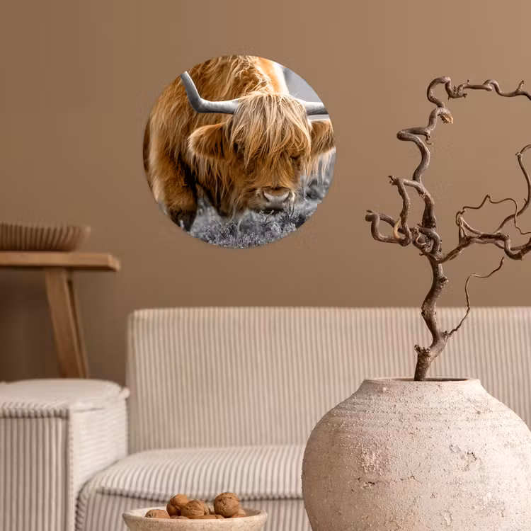 Schotse Hooglander - Dieren - Bruin - Koe - Zwart - Wit - Natuur Wandcirkel behangsticker klein -sfeer1