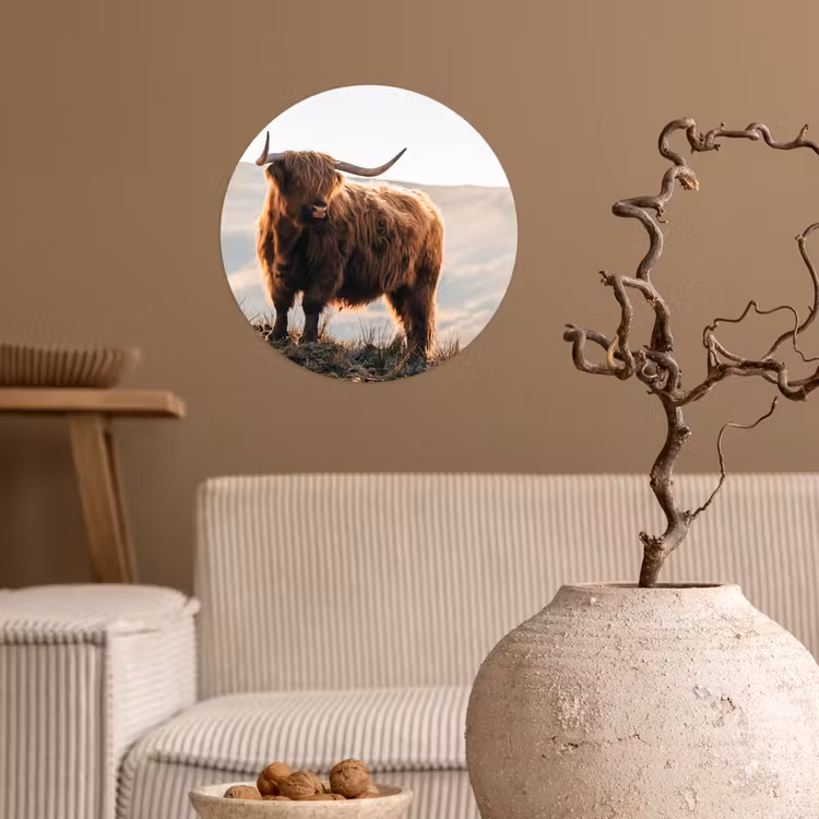 Schotse hooglander - Dieren - Landelijk - Landschap - Koe - Natuur Wandcirkel behangsticker klein -sfeer1