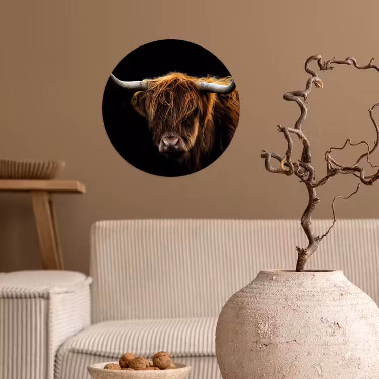 Schotse Hooglander - Horens - Zwart - Dieren - Natuur - Wild - Koe Wandcirkel behangsticker klein -sfeer1