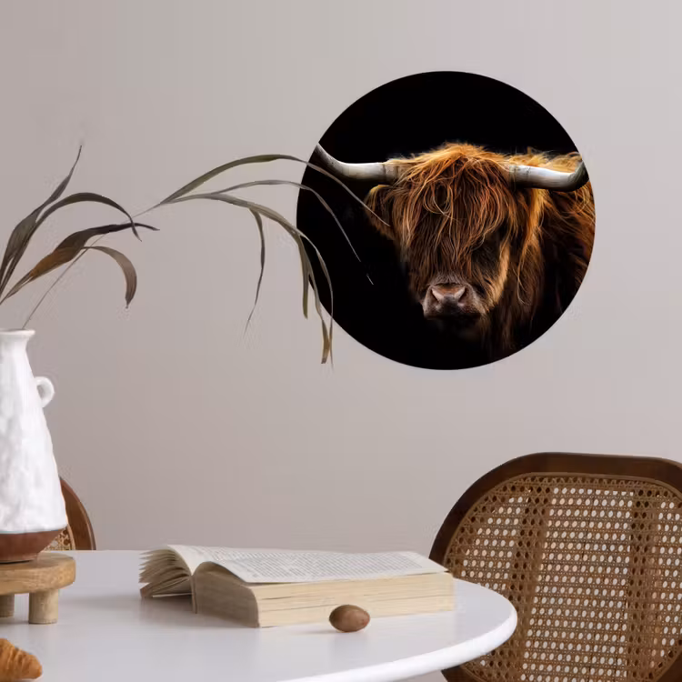 Schotse Hooglander - Horens - Zwart - Dieren - Natuur - Wild - Koe Wandcirkel behangsticker klein -sfeer3